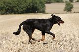 BEAUCERON 755